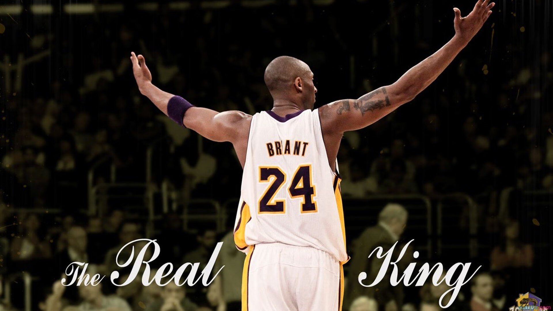 塔图姆状态火热率队大胜，湖人体系粉碎深圳队战术布局